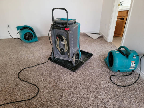 Best Flooded house restoration  in Centerville, CA