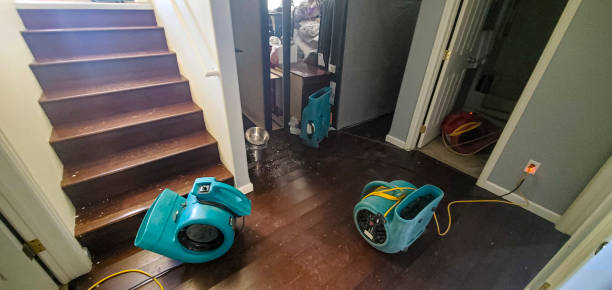 Best Local water damage restoration  in Centerville, CA