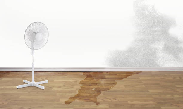 Best Fire Damage Restoration  in Centerville, CA