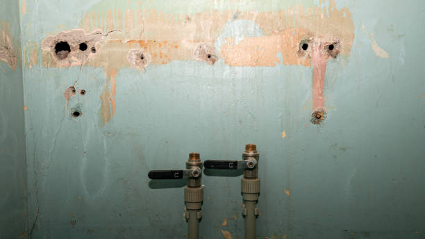 Best Professional water damage repair  in Centerville, CA