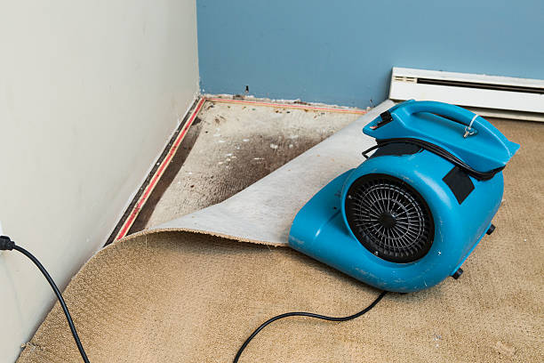 Best Flood restoration services  in Centerville, CA
